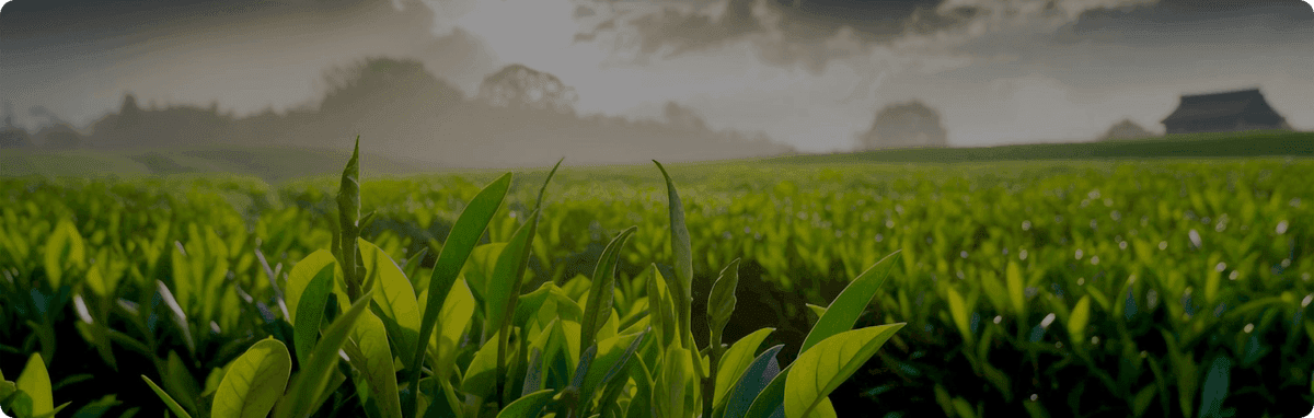 Agricultural Landscape Partnership