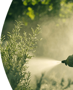 Liquid Fertilizers