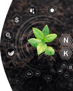 Micro Nutrients